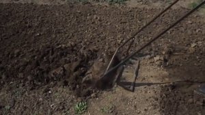 Чудо лопата/Miracle shovel