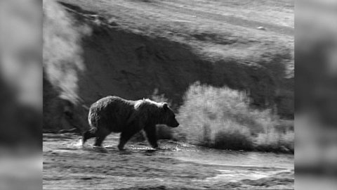 Ролик РОСГЕО русский