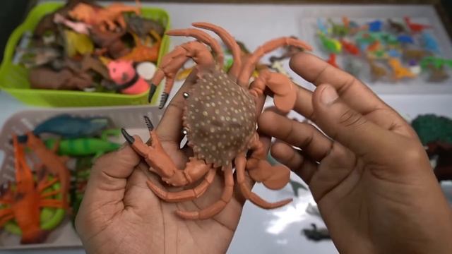 animals entertainment 13+ dinosaur horse shark frog zebra cow monkey leopard. Animals Demo смотреть онлайн