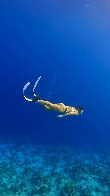 Magic #freediving