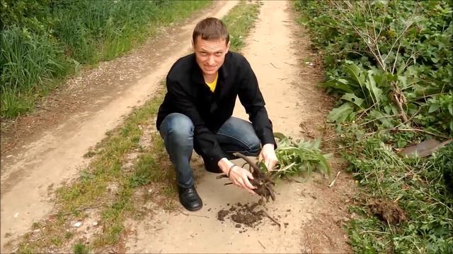 kostival смотреть онлайн