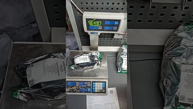 622858 Бахарев Антон Пермь смотреть онлайн