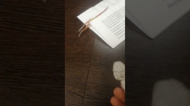 VID_20250325_183217.mp4
