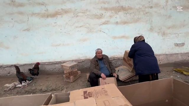 хоразим хазорасп парранда бозори нархлари