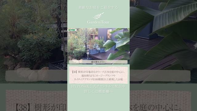 🕊Garden Tour🕊38：オリーブ古木を庭の中心に、庭を囲うようにオージープランツやネイティブプランツを100種類以上植栽したお庭 ＃Shorts смотреть онлайн