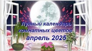 Лунный календарь комнатных растений и цветов на апрель 2025 года