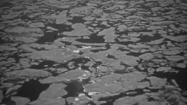 Familiars - Erebus & Terror смотреть онлайн