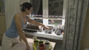 Конец марта 2025 года. Пикирую, переваливаю, рассаживаю...