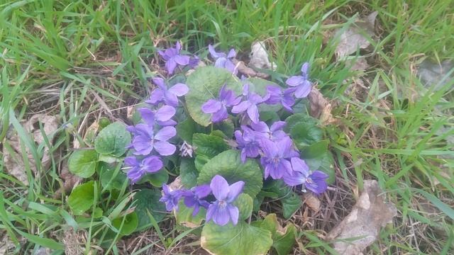 VID_20250323_132959