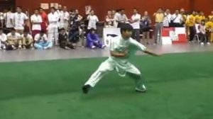 Таолу Тунбэй Ченлунцюань. Tongbei Chenlongquan taolu.