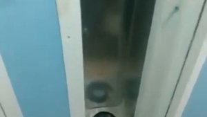 Икубатор Рэмил 1000