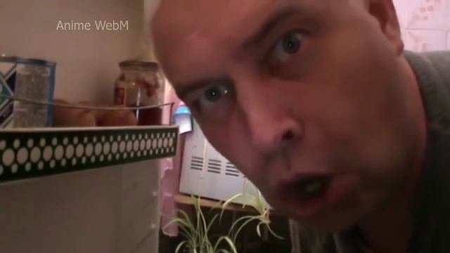 Компиляция аниме мемов! 00002