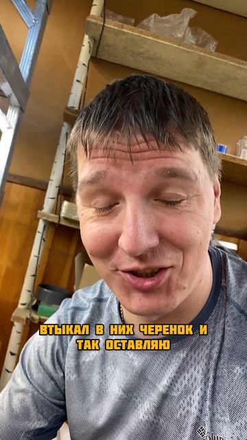 Пересадил петунии