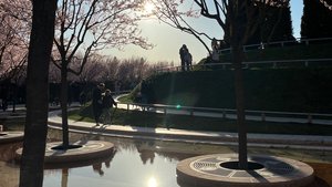 Самый красивый парк в Краснодаре