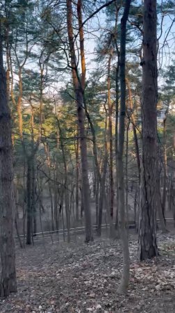 Радуюсь весне на тропе здоровья в Кисловодском парке