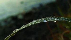 Ajeet Kaur - Adi Shakti - Meditation 1h