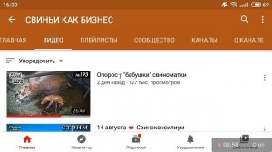 КАНАЛ СВИНЬИ КАК БИЗНЕС ТЕПЕРЬ МОЙ!