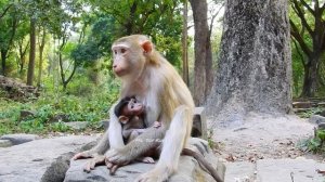 Rainbow lip smacked to auntie Katrina cuz she need a permisson to touch tiny Kenzo