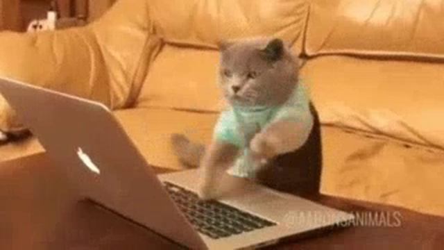 Кросс когда захотел поиграть на ноутбуке