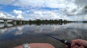 РЫБАЛКА В ИЮНЕ с берега на ЕЛЬЦА! Плавающая МУХА, БОМБАРДА!
