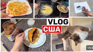 Сша Влог Завтрак обед и ужин Киска на грани риска Семейный ВЛОГ