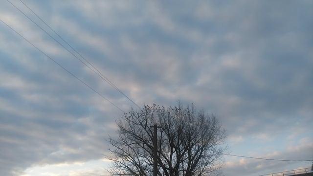 VID_20250323_180519