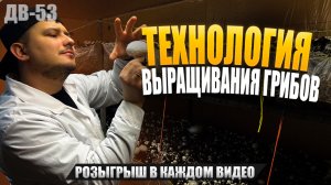 КО МНЕ ПРИЕХАЛ ПЕРВЫЙ КАНАЛ | СЪЕМКИ С ШАМПИНЬОНАМИ | ДВ 53