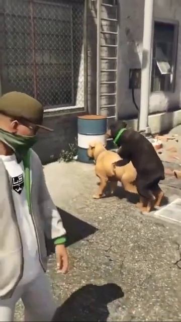 #shorts GTA V, прекращай ЧОП смотреть онлайн