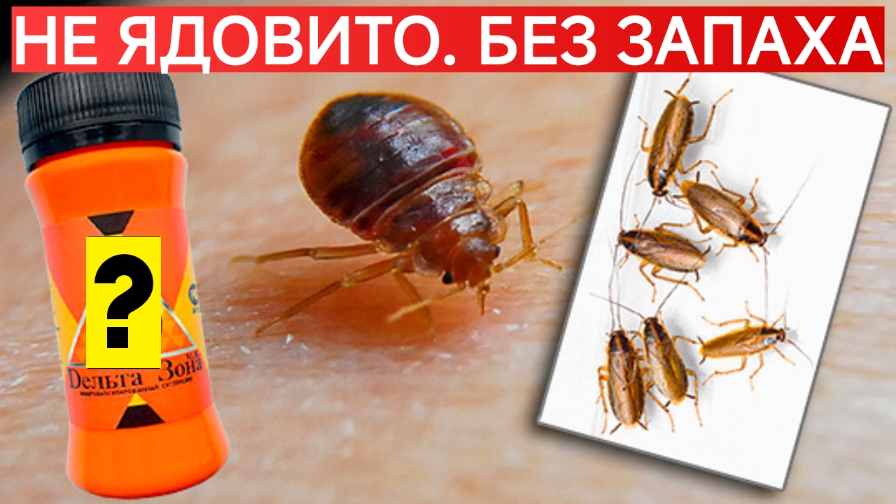 ИЗБАВИТ ОТ ВСЕХ ДОМАШНИХ НАСЕКОМЫХ.ТАРАКАНЫ .КЛОПЫ.МУРАВЬИ.ПАУКИ.УБОЙНОЕ СРЕДСТВО.Диатомит.