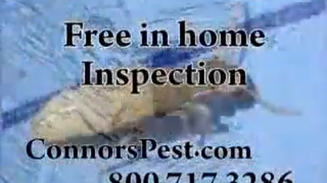 connors termites смотреть онлайн