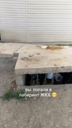 Пойди туда - не знаю куда, найди коллектор 🤣