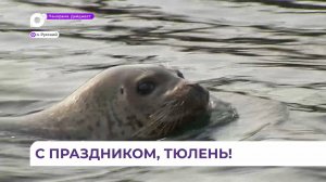 День ластоногих ежегодно отмечается в марте в Приморье