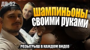 ШАМПИНЬОНЫ ДОМА КАК БИЗНЕС-ИДЕЯ | ДВ52