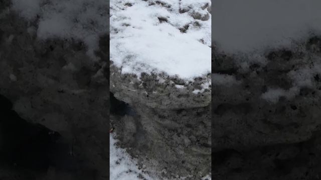 19.03.2021. Болотниковская 53. Работа коммунальщиков по уборке загрязнённого снега на газон. смотреть онлайн