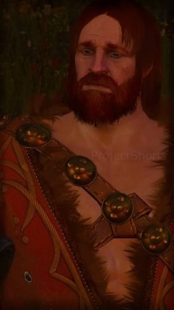 Тебе всегда рады The Witcher 3  Ведьмак 3 shorts