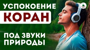 Коран под звуки дождя для крепкого сна.