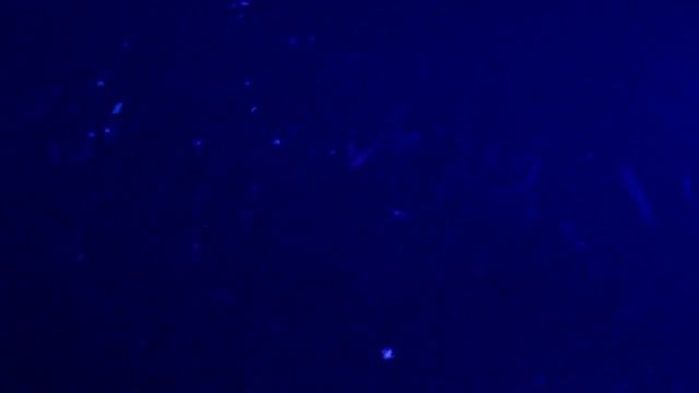 Tiesto @ E.M.U. 2-27-2013 067 смотреть онлайн