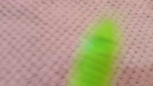 ШКОЛЬНЫЕ ПОДАРКИ ДЛЯ МЕДВЕДЯ ТИМОНА