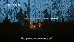 Лесные пожары