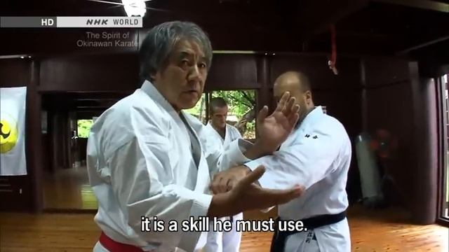 Traditional Karate : The Spirit of Okinawan Karate Vost français смотреть онлайн