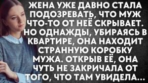 Жена уже давно стала подозревать, что муж что-то от нее скрывает. Но однажды, убираясь в квартире...