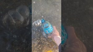 Привезла для чайки море