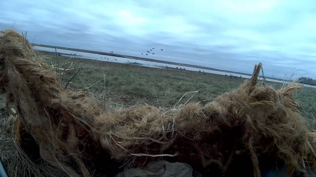 Охота на гуся 2021. Охота прошлых лет. Второй и третий выезд смотреть онлайн