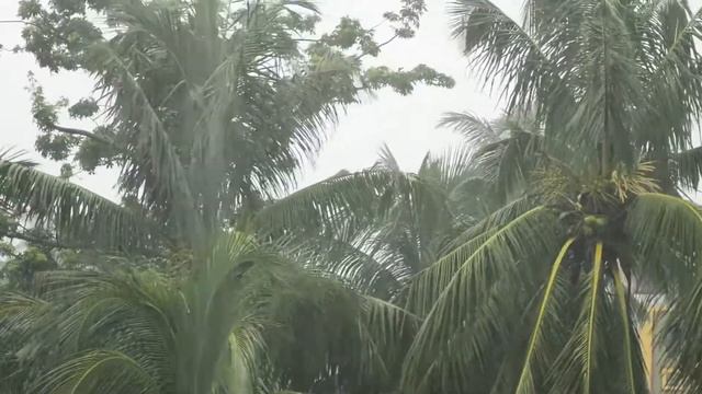 Rainy Weather for Sleep or Meditation. Дождливая погода для сна или медитации.