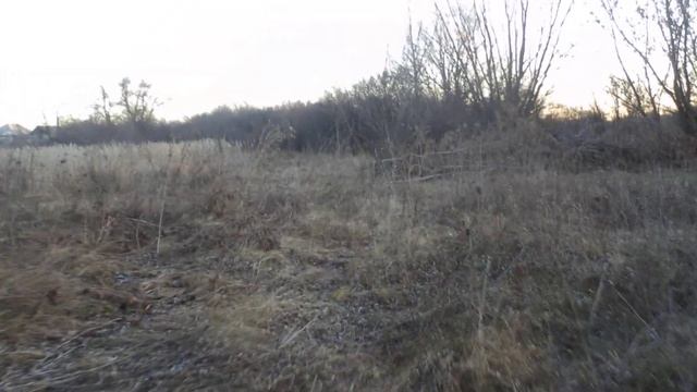 собачий холод в Беловодске 21 11  2019