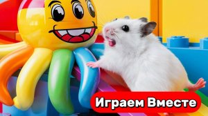Лабиринт для Хомяка ! Сложный ЛАБИРИНТ С ЛОВУШКАМИ для Умного Хомяка ! Видео для детей