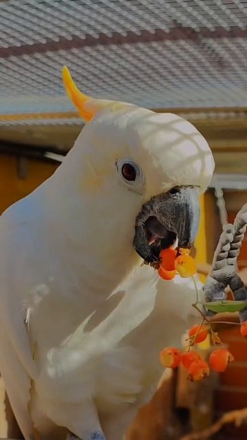 Ай красавцы😍￼ смотреть онлайн