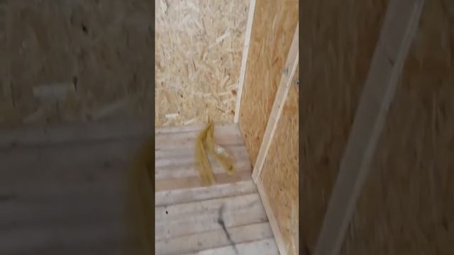 отзыв о петробытовках смотреть онлайн