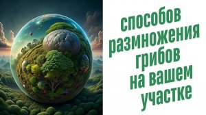 Выращивание грибов для новичков.