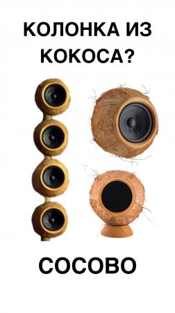 КОЛОНКА ИЗ КОКОСА?! Самая необычная Bluetooth-колонка
#Кокос #BluetoothКолонка #Гаджеты #Звук #Акуст